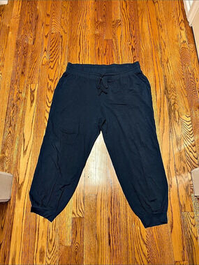 AnyBody Crop Blue Jogger Pants